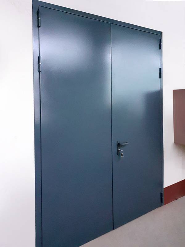 Двустворчатая дверь (АО «ММП имени В.В. Чернышева») Двустворчатая дверь (АО «ММП имени В.В. Чернышева»)