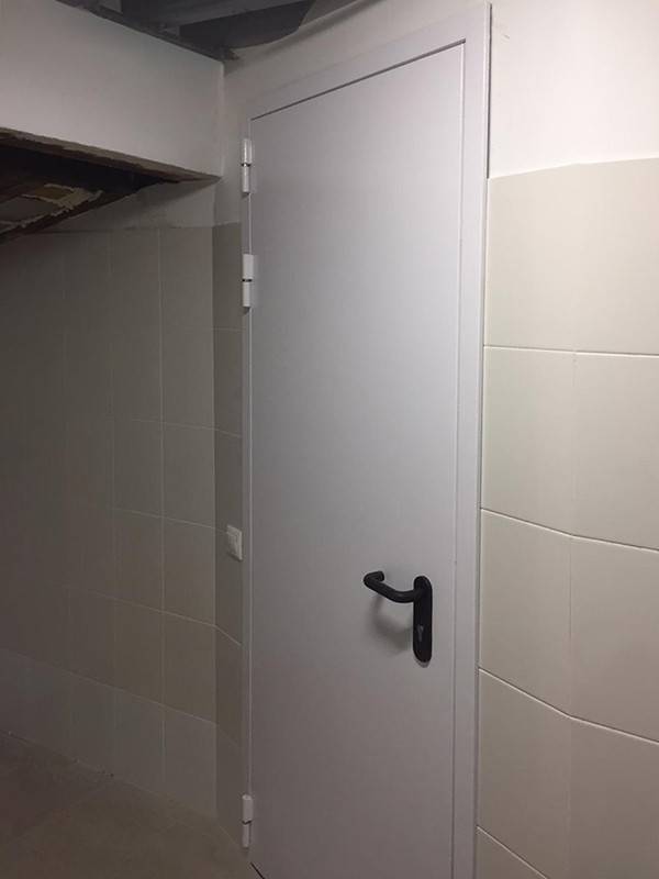 Одностворчатая глухая дверь (Камергерский переулок)