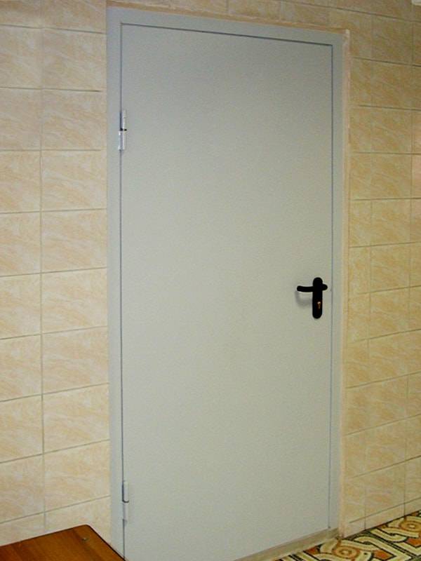 Однопольная пожаростойкая дверь серого цвета